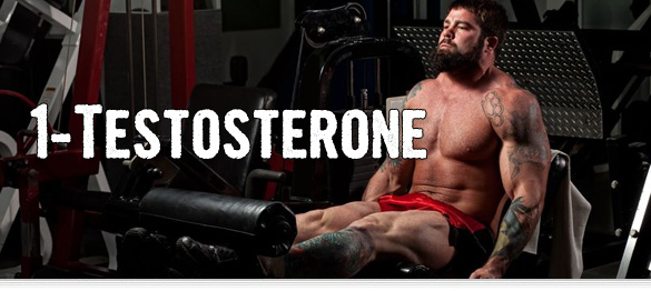1 testosterone banner1