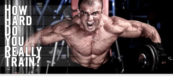how hard do you really train