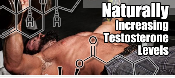 Naturally Increasing Testosterone Levels