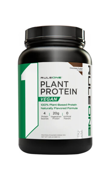 rule 1 plant protein chocolate