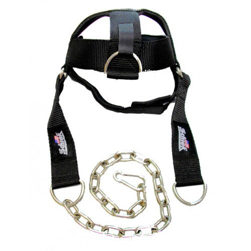 Schiek Head Harness