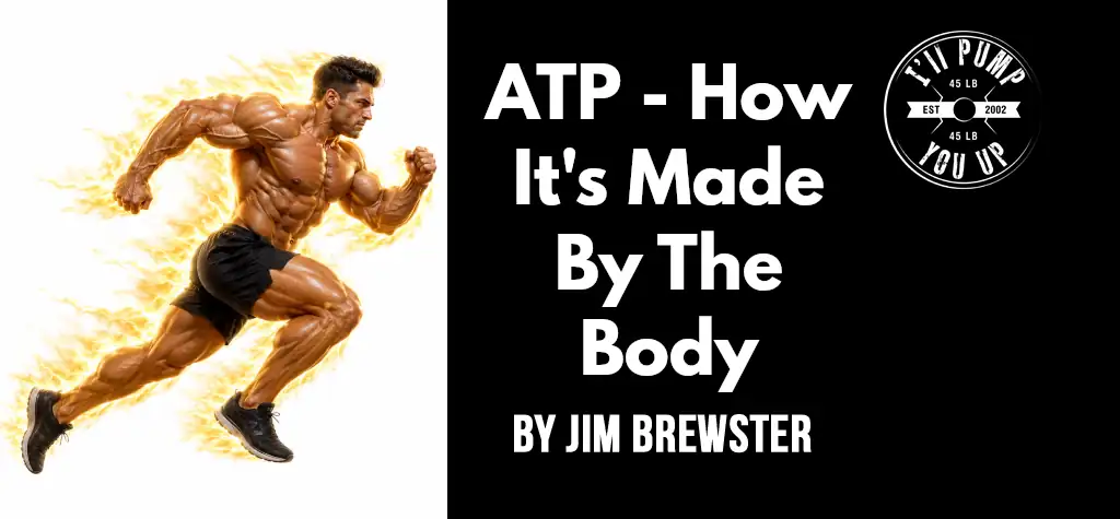 ATP - How It's Made By The Body